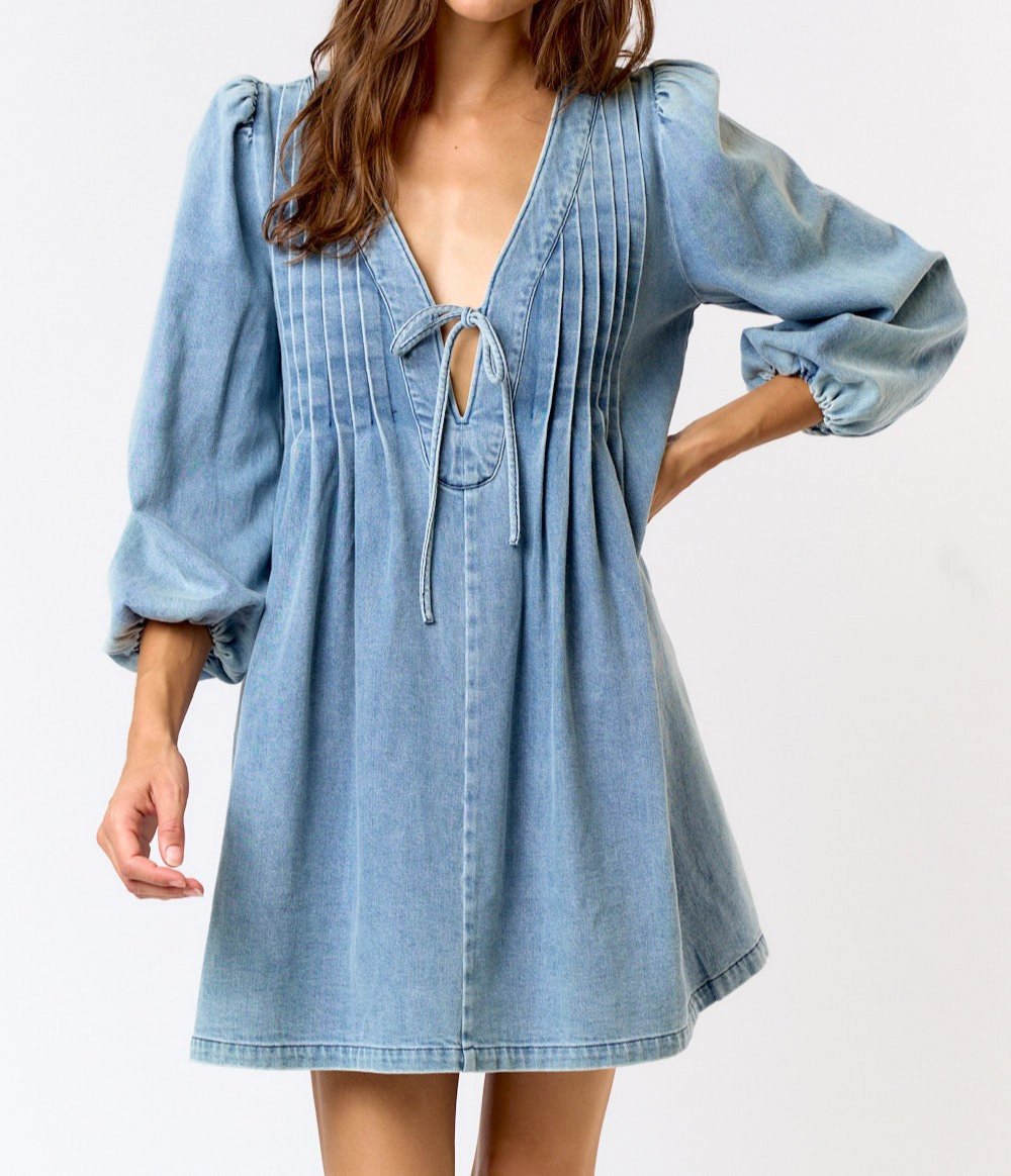 Long Sleeve Denim Mini Dress