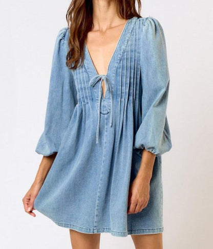 Long Sleeve Denim Mini Dress