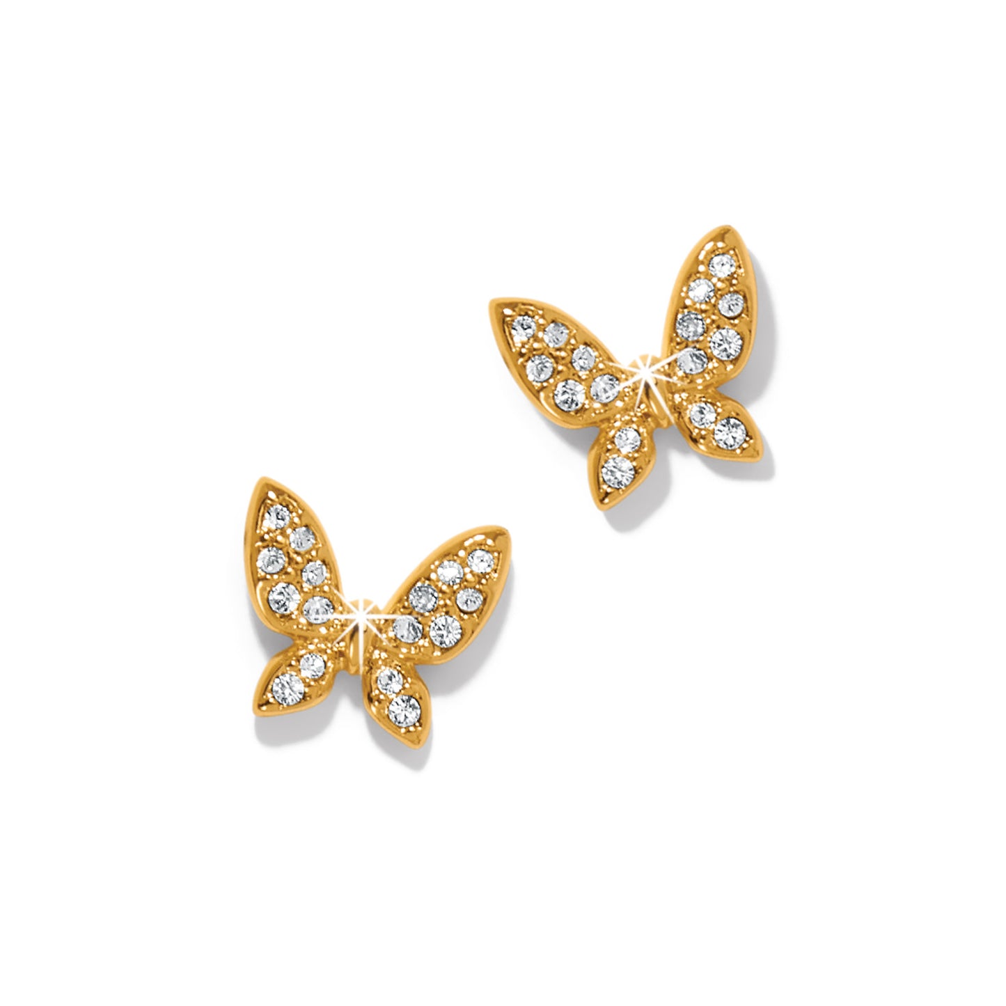 Enchanting Butterfly Post Earrings