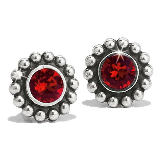 Twinkle Mini Post Earrings - Brazos Avenue Market 